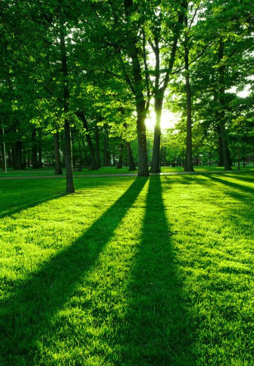 张牙舞爪的人，往往是脆弱的