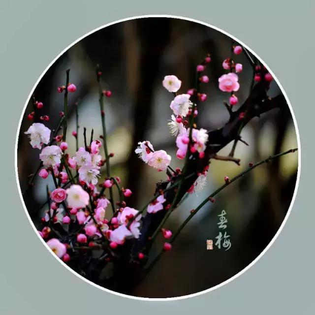 能打开任何人心结的一段话（值得收藏）