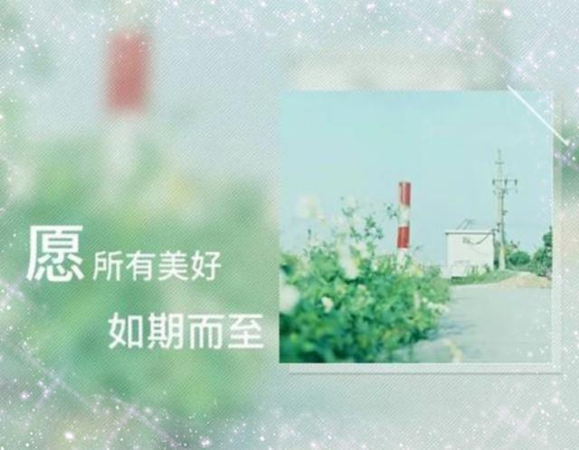 生命太短，日子太忙