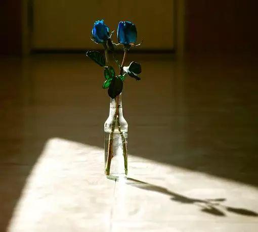 再回首,时光不老,我们不散 再回首,时光不老,我们不散