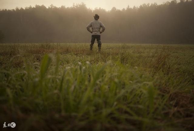 害怕孤独，执着向前