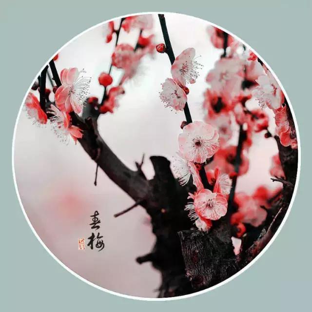 能打开任何人心结的一段话（值得收藏）