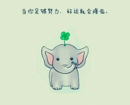 人就是在历练中慢慢成熟的