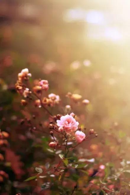 距离只是一个用来验证爱能走多远的测试