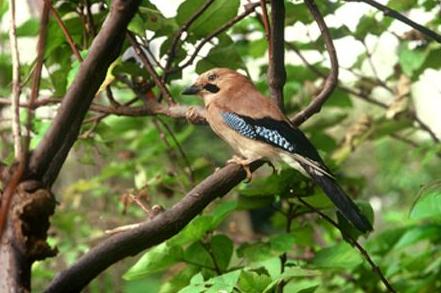 不高看有钱人,不小瞧穷人(精辟) 不高看有钱人,不小瞧穷人(精辟)
