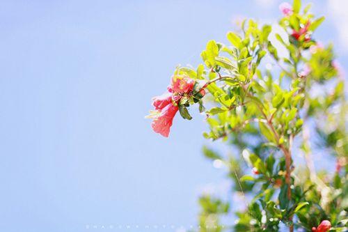 微信里最温馨唯美的爱情语录