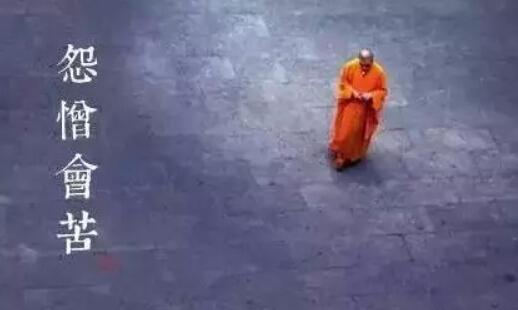 人生有八苦，说的真好