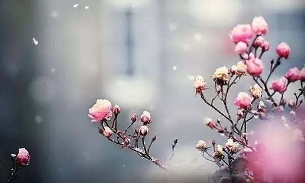 身体健康,比什么都强 身体健康,比什么都强