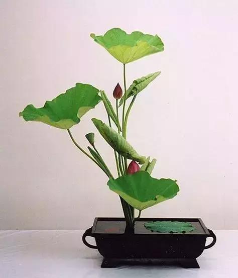 生命里需要这八戒