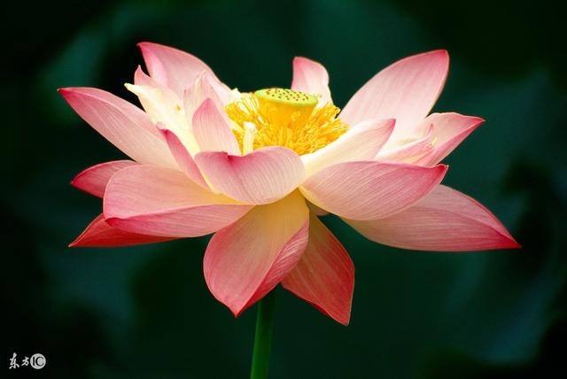 穷，不能欠人钱不还；难，不要说话不算数（句句真理）