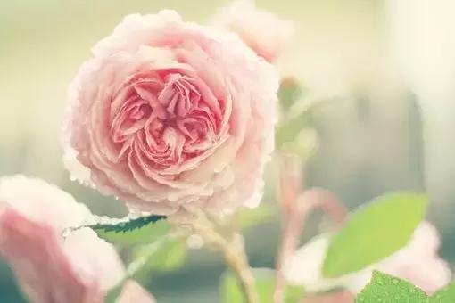 这段话真漂亮,说到了心上 这段话真漂亮,说到了心上