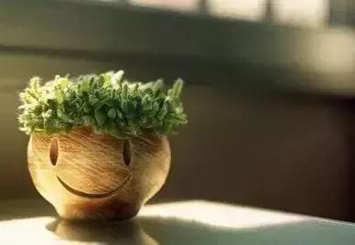 我问人生……