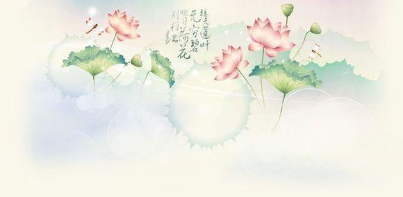 一句话最经典的人生哲理语录