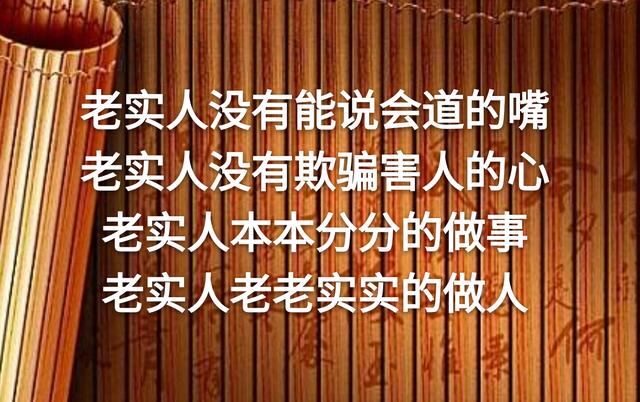 别总是欺负老实人