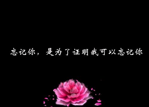 我敬往事一杯酒，从此再也不强求情感语录