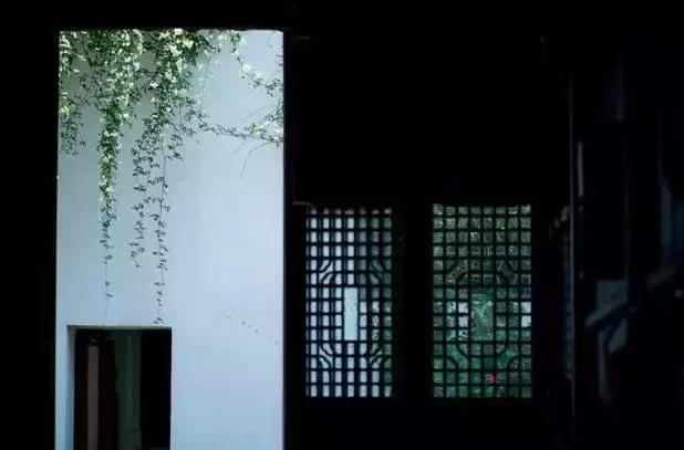 尊严