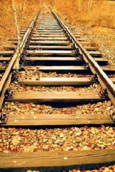 比尔·盖茨:生活是不公平的,要去适应它 比尔·盖茨:生活是不公平的,要去适应它