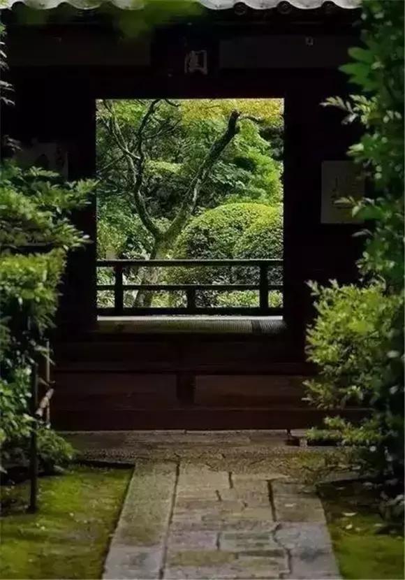 静听花开花落