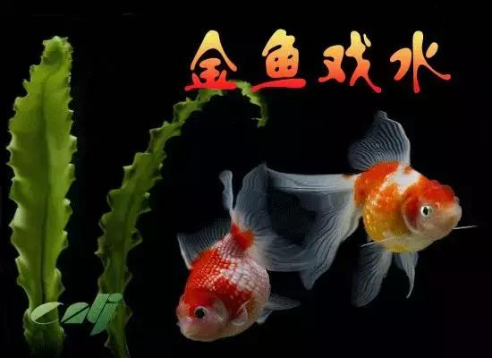 金子般的10句话，送给你