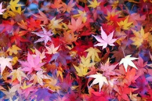 心态好，一切都好，这就是人生