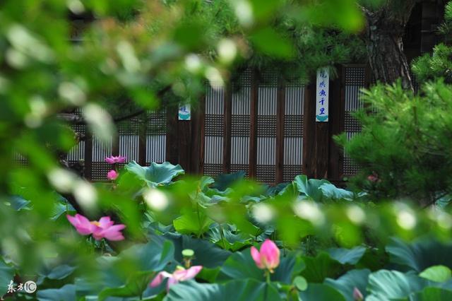 人生：别倦、别糟、别贪、别恋、别厌、别烦、别贱