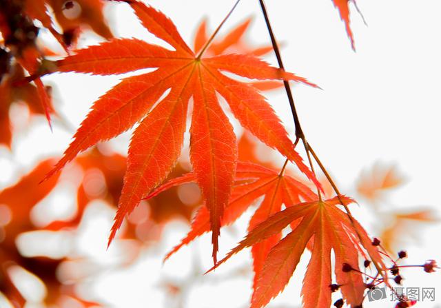 不求完美，但求无悔