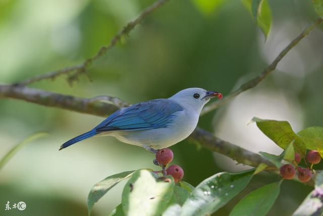 人生九悟,看完我也醒悟了 人生九悟,看完我也醒悟了