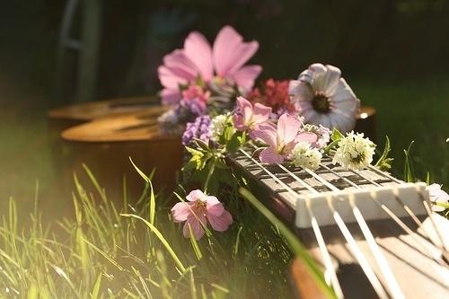 正能量激励人的句子 正能量激励人的句子