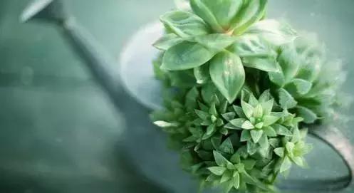 心就一颗，别累坏了ta