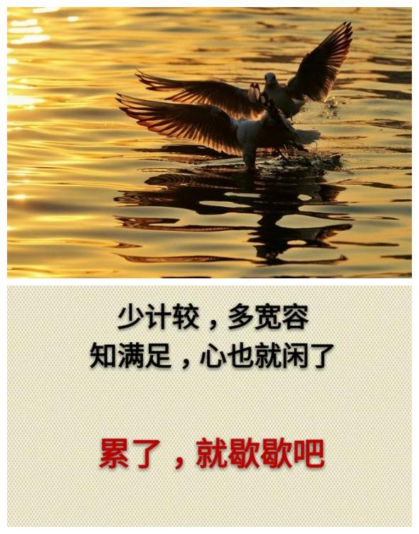 你累吗？（累就看看）