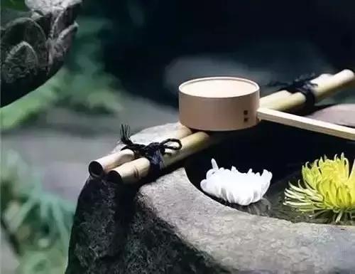 苦涩清香中慢慢感悟：人生如茶