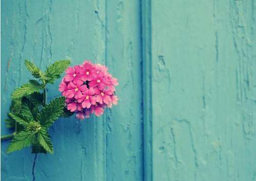 人啊,有钱,别得瑟;没钱,别堕落 人啊,有钱,别得瑟;没钱,别堕落