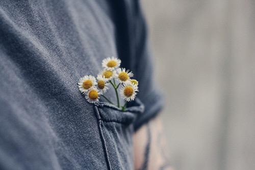 治愈系语录：别懂事太早，别涉世太深