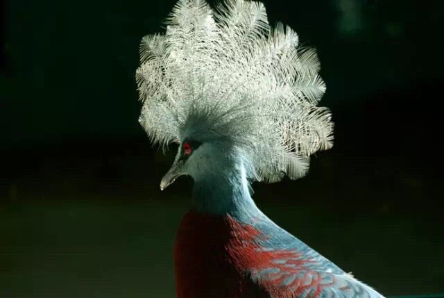 坦然面对人生的悲与欢