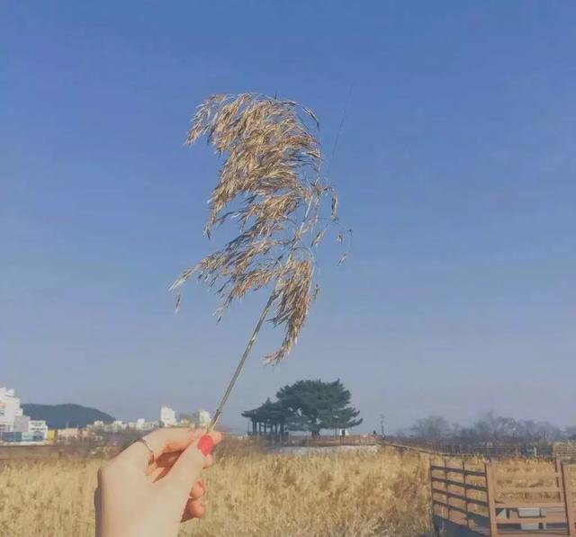 我愿你好 即使后来你与我全然无关