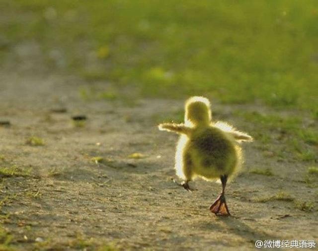 何必拿尊严去挽留一个变了心的人