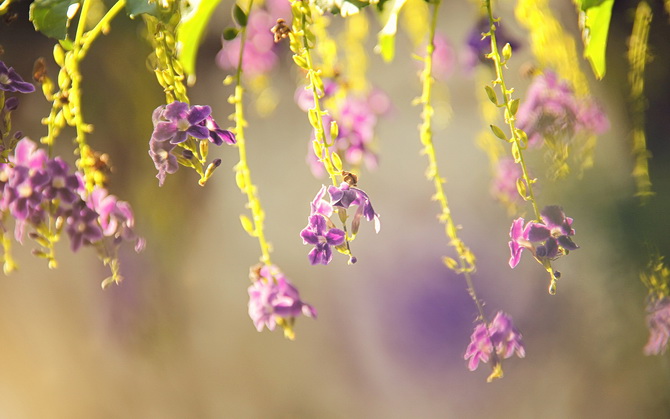 一句话正能量语录