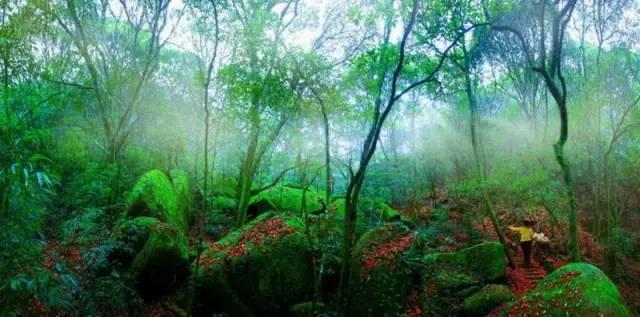 人生一晃就老，何必争争吵吵？