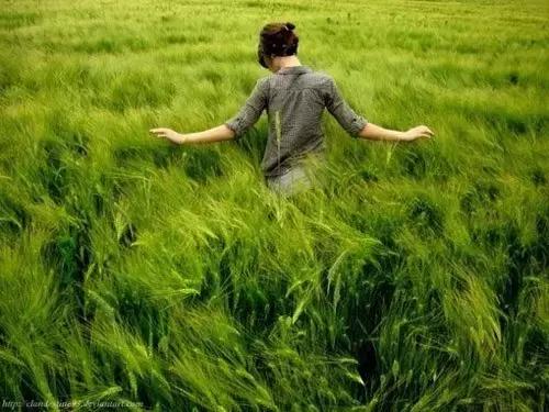 面对这4种情况，请务必收起你的善良