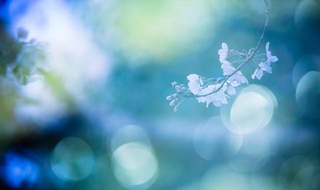 感动人心的10句唯美语录