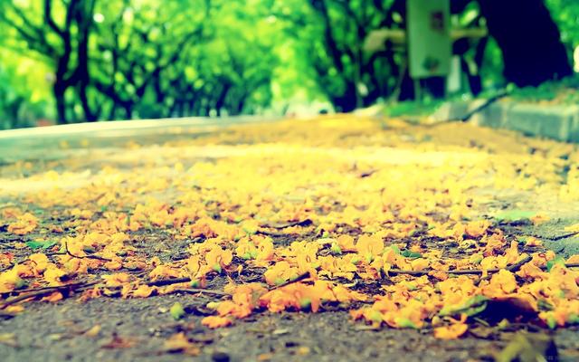 那一句是最戳你的心,别告诉我没戳到 那一句是最戳你的心,别告诉我没戳到