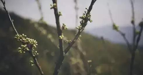 别人的嘴，你管他呢
