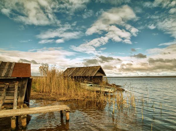 毒鸡汤语录 毒鸡汤语录
