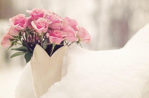 朋友圈里最火的人生感悟语录