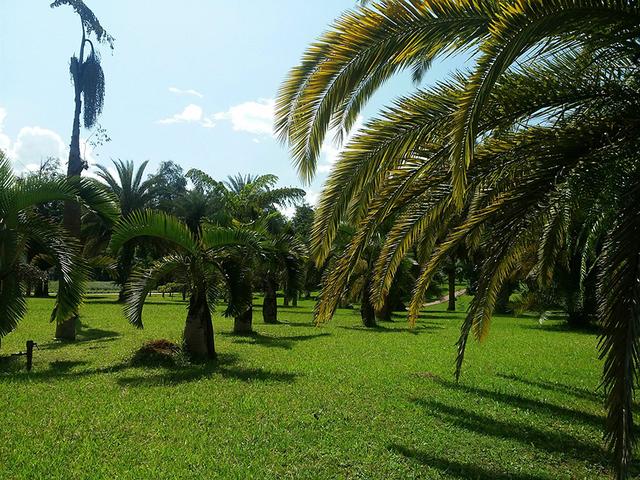 拒绝这件事,越简单越好 拒绝这件事,越简单越好