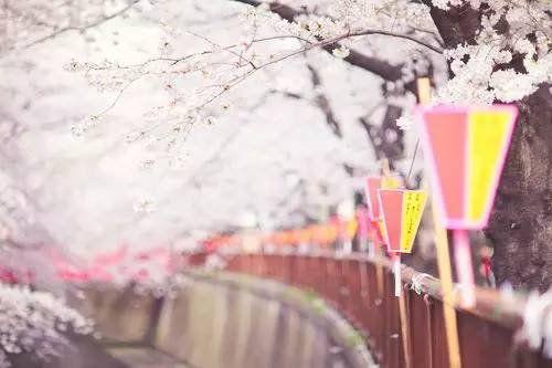 心情语录：为了等你，我错过了等我的人