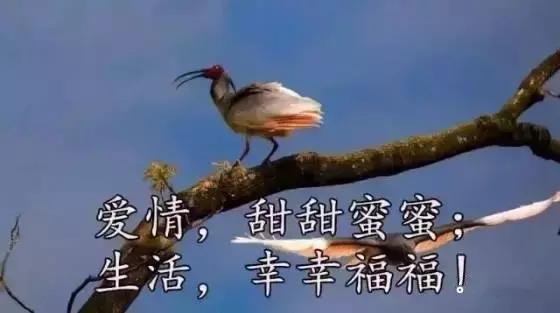 送你26个字