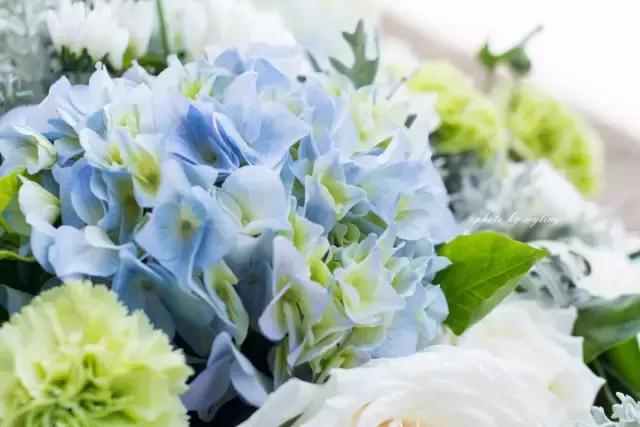 莫问光芒有几许，先问根扎有多深