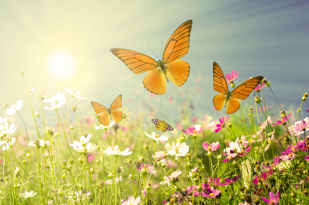 张爱玲的16句话，经得住岁月的验证