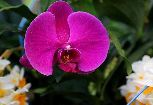 平凡的日子，也有别样的精彩